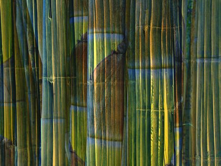 Design of bamboo stemsの写真素材