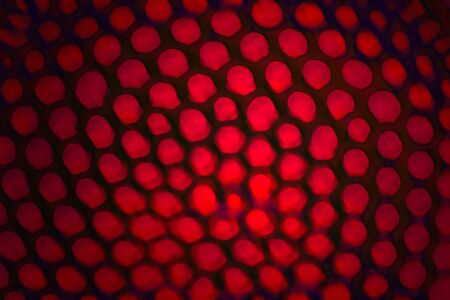 Abstract background from an insect eyeの写真素材