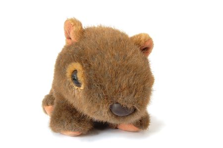 Isolated brown furry cuddly toyの写真素材