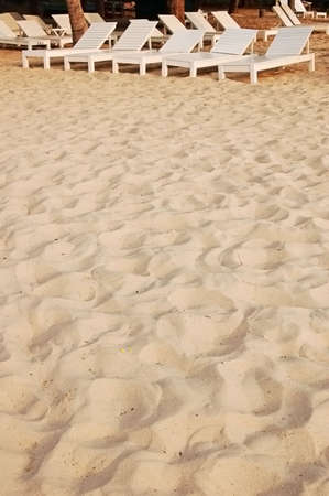 Row of loungers on a sandy beachの写真素材