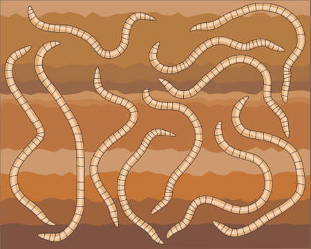 Vector design of earthworms in soil