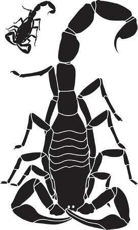 Vector illustration of a scorpion with basic outline includedのイラスト素材
