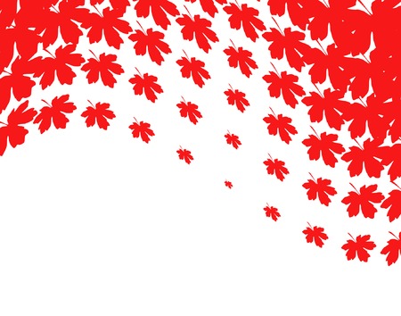 Editable vector illustration of red maple leavesのイラスト素材
