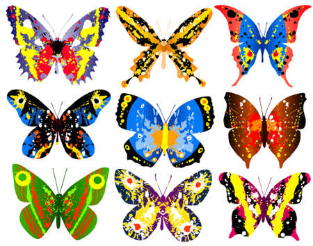 Selection of brightly colored editable vector generic butterfliesのイラスト素材