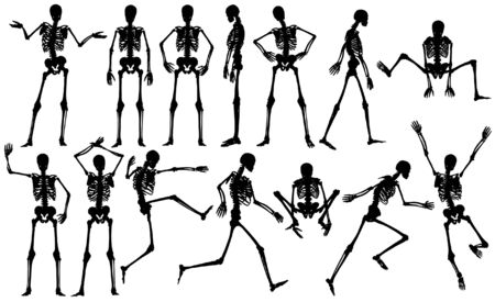 Set of editable vector male skeleton outlinesのイラスト素材