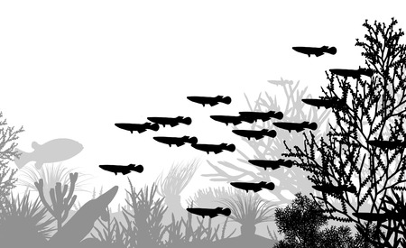 illustration of coral and fish silhouettesのイラスト素材