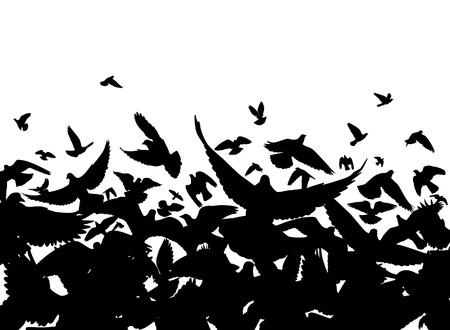 Vector foreground of a flock of pigeons with each bird as a separate objectのイラスト素材