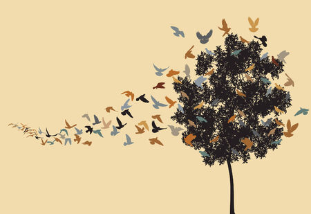  silhouettes of a pigeon flock flying to a tree roostのイラスト素材