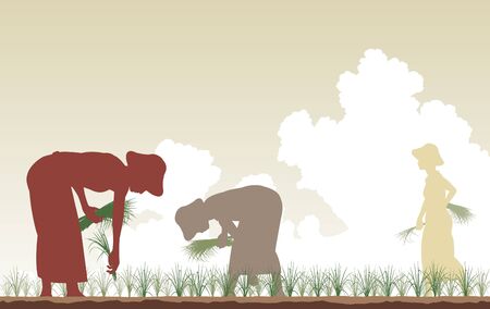 Editable silhouettes of women planting rice in a paddy fieldのイラスト素材