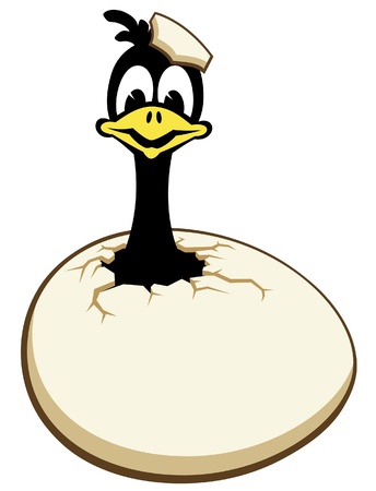 a cartoon chick hatching from an eggのイラスト素材
