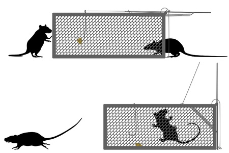 Editable illustration of a rat getting caught in a humane trapのイラスト素材