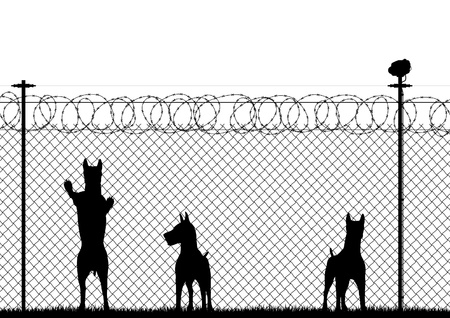 Editable silhouette of guard dogs behind a chainlink security fenceのイラスト素材