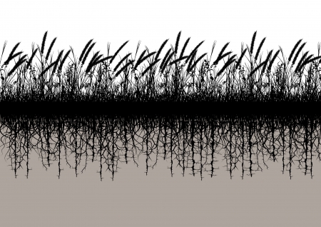 Editable vector silhouette of a grassy meadow with underground rootsのイラスト素材