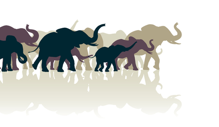 Editable vector illustration of an elephant herd with reflectionsのイラスト素材