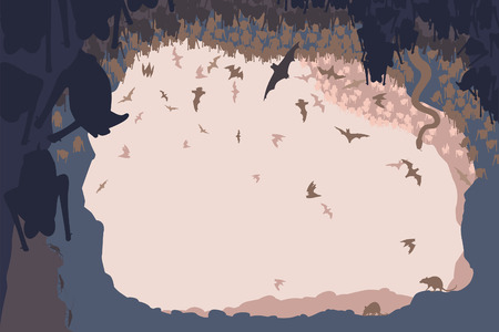 illustration of animals in a bat cave with all figures as separate objectsのイラスト素材