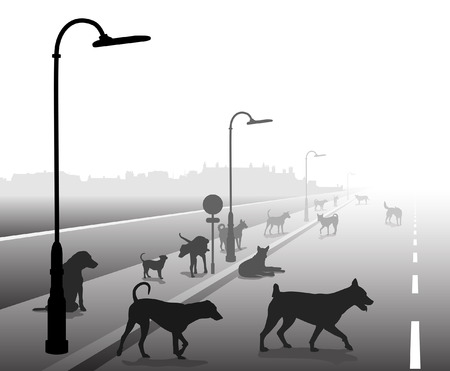 Editable vector illustration of a motley group of stray dogs on a lonely roadのイラスト素材