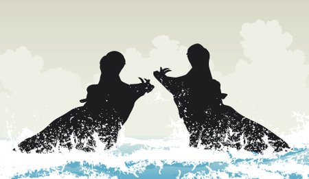 EPS8 editable vector illustration of two hippopotamuses fighting in waterのイラスト素材