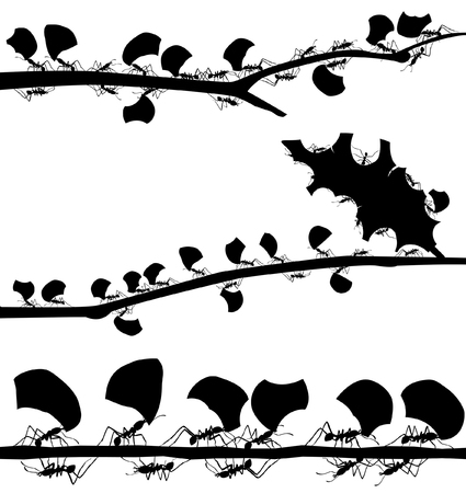 Set of EPS8 editable vector silhouettes of leaf cutter ants with all leaf fragments and ants as separate objectsのイラスト素材