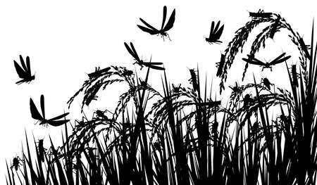 Vector silhouette illustration of a swarm of locusts attacking rice plants and threatening food security with locusts as separate objectsのイラスト素材