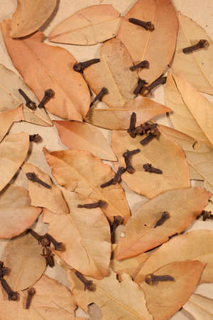 Dried bay leaves and cloves on a brown tabletopの写真素材
