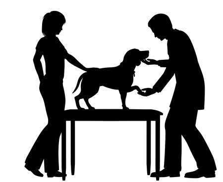 Editable vector silhouette of a vet examining a pet dog with figures as separate objectsのイラスト素材