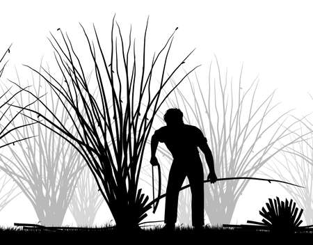 Editable vector cutout illustration of a man coppicing trees のイラスト素材