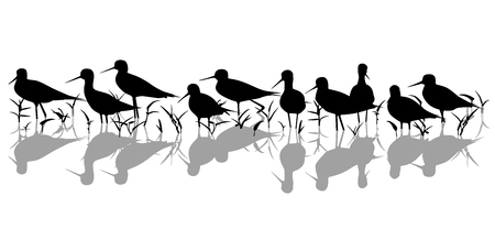 Editable vector silhouette of black-winged stilts in a marsh with all elements as separate objects のイラスト素材