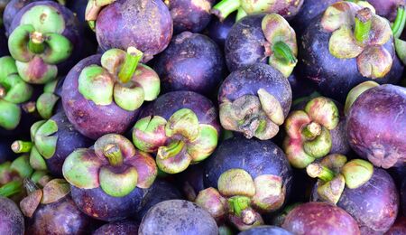 Pile of mangosteen in Thai fruit market.の写真素材