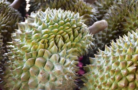 Pile of durian in Thai fruit market.