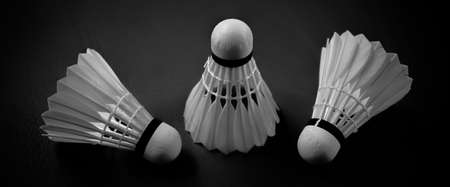 White badminton shuttlecock and racket on floor in badminton indoor court.