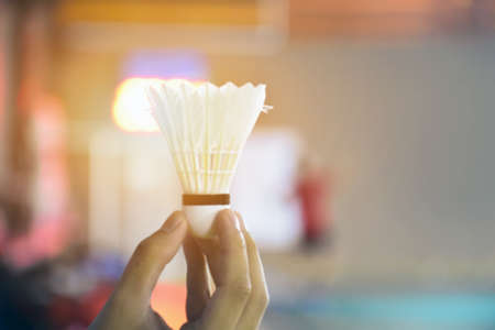 Cream white badminton shuttlecock holding in hand with neon light shading on green floor in indoor badminton court, blurred badminton background, copy space.の写真素材