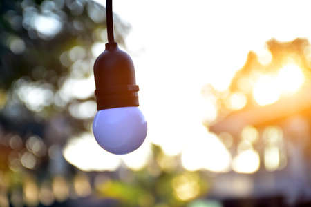 White bulbs which hanging on wire to decorate the area around the house during christmas day at night, blurred background, soft and selective focus on first bulb.の写真素材