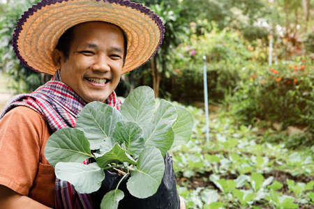 Asian middle aged male is doing home plant growing activity at the backyard of his house, smart...