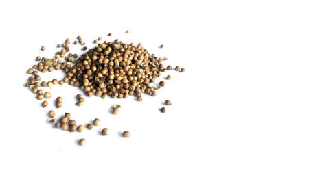 Top view of coriander seed on white background. Soft and selective focus, Asian ingredients concept.の写真素材