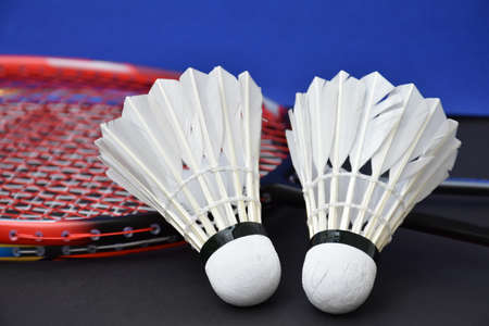 Badminton white shuttlecocks and rackets on court, concept for endurance and healthy sports around the world.の写真素材