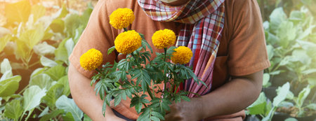 Portrait of Asian middle aged man who is relaxing with his free time by using his taplet to take photos and to store the growing data beside the vegetable beds in the backyard of hの写真素材