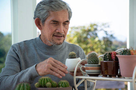 Portrait of senior man sitting at table with cactus at home