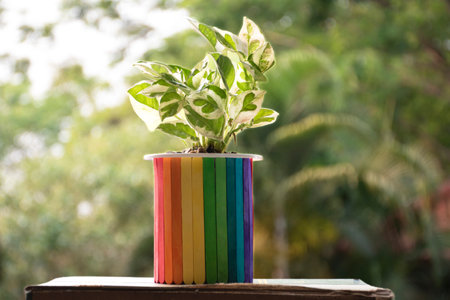 Green plant in a pot on wooden table with blurred nature background.の写真素材