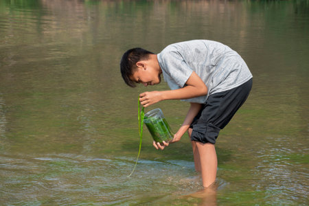 Asian boy holds freshwater algae that grows naturally in a river. Idea for studying nature, environmental conservation and observed the effect of higher temperature.の写真素材