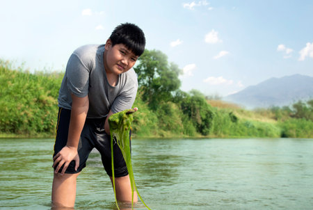 Asian boy holds freshwater algae that grows naturally in a river. Idea for studying nature, environmental conservation and observed the effect of higher temperature.の写真素材