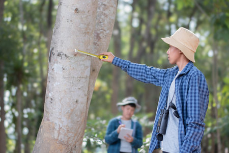 Young asian schoolboy measuring a size of tree trunk with a measuring tape and recording information of trees for school botanical garden library.の写真素材