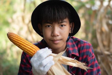 Portrait of asian boy holding corn cobs in the fieldの写真素材