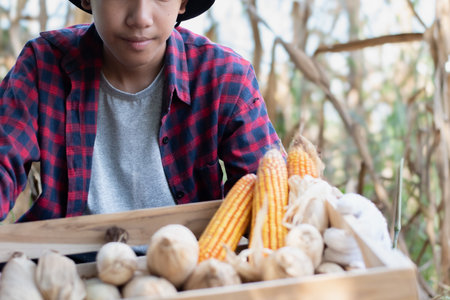 Young asian young farmer with corn in the field. Selective focus.の写真素材