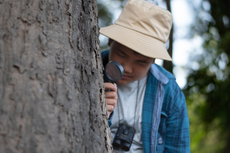 Boy looking through a magnifying glass at a tree in the forestの写真素材