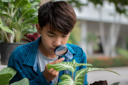 Asian boy looking through magnifying glass at plant in the garden.の写真素材