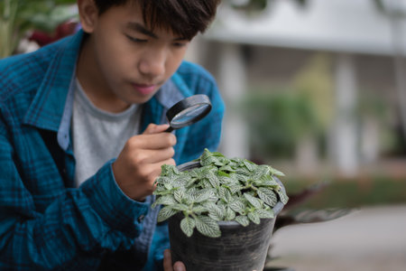 Young asian man looking at plant in pot with magnifying glassの写真素材