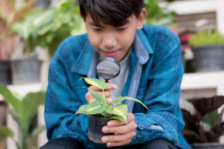 Young asian boy looking through magnifying glass at plant in potの写真素材