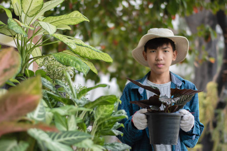 Asian cute boy holds potted houseplants and looking after them at home, soft and selective focus.の写真素材