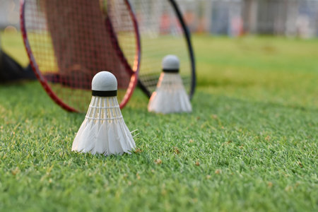 Shuttlecock and badminton rackets on green grass.の写真素材