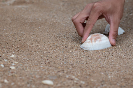 Hand holding seashell on the sand beach with copy space for text